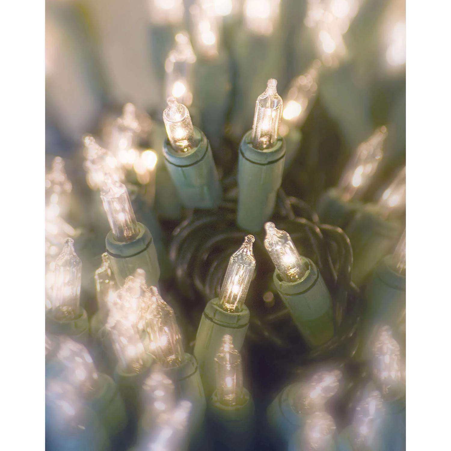 Celebrations Incandescent Mini Clear/Warm White 300 Ct String Christmas Lights 62 Ft. - Image 3