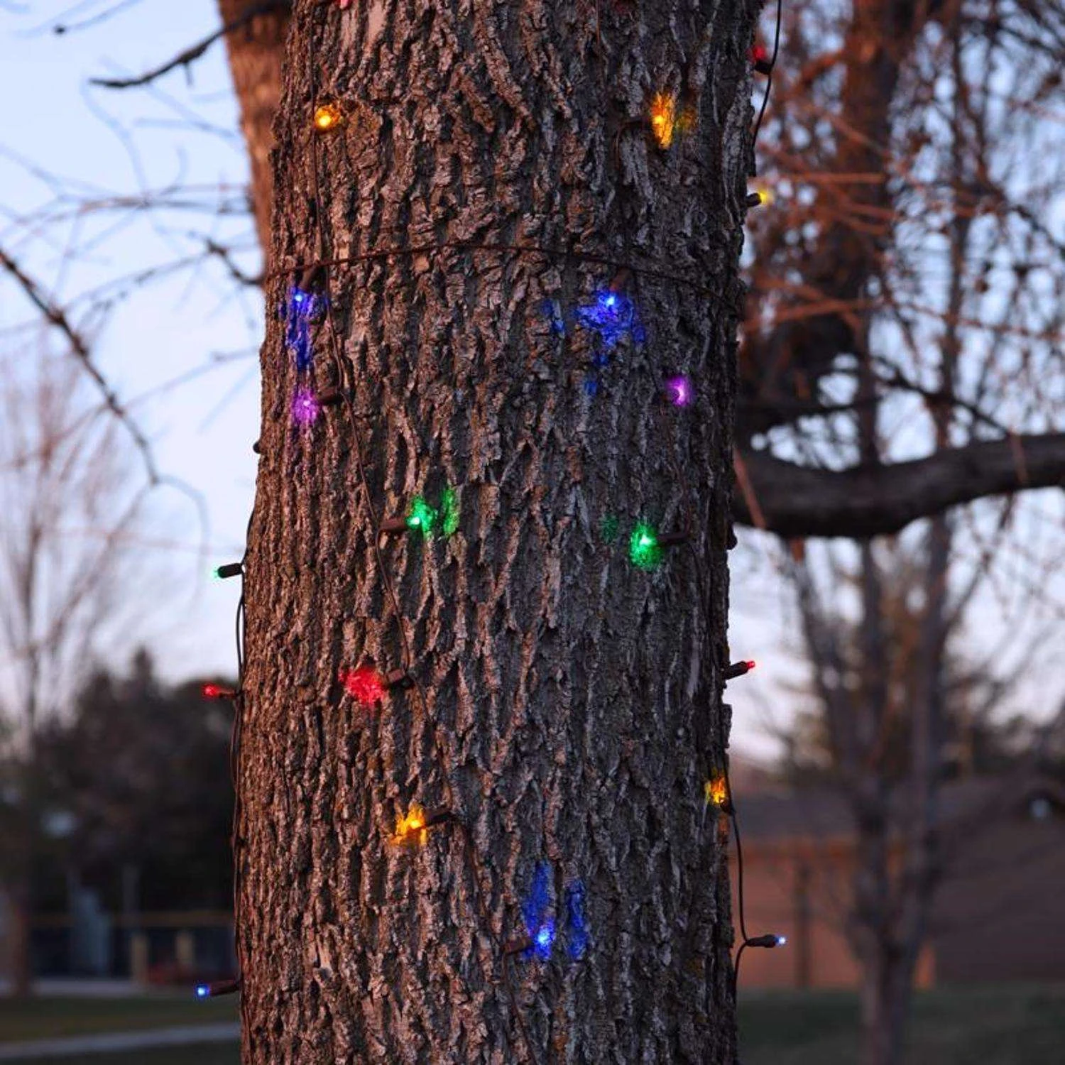 Celebrations Platinum LED Mini Multicolored 100 Ct Net Christmas Lights 6 Ft. - Image 3