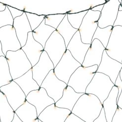 Celebrations Orange 100 Ct LED Halloween Net Lights